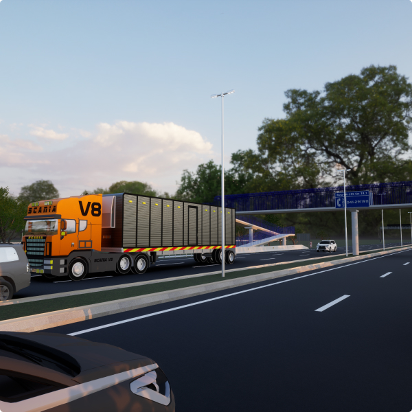 BORBOLETA DUPLO pc 01